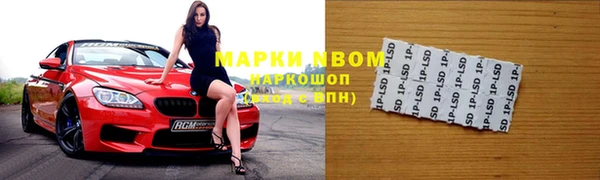 твердый Аркадак